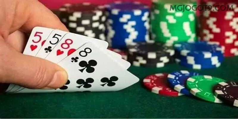 Apostas esportivas da mgjogo com odds competitivas